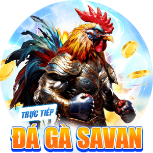 Trực tiếp đá gà SAVAN